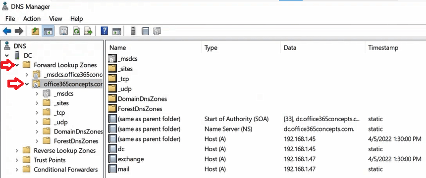 dns manager