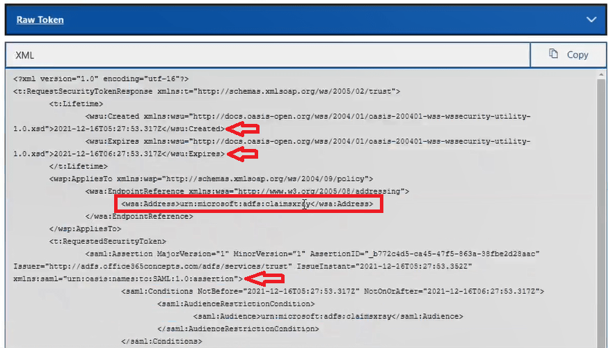 raw token in claims x ray token response page